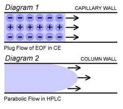 Plug Flow in CE