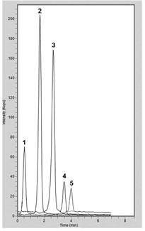 Rice Extract Chromatogram