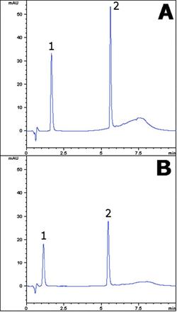 Atorvastatin Chromatogram