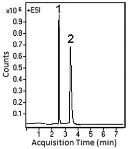 Codeine and Hydrocodone Chromatogram