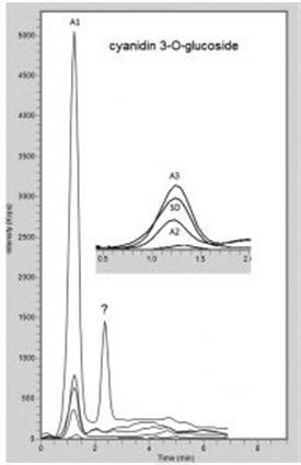 Cyanidin-3-O-Glucoside Chromatogram