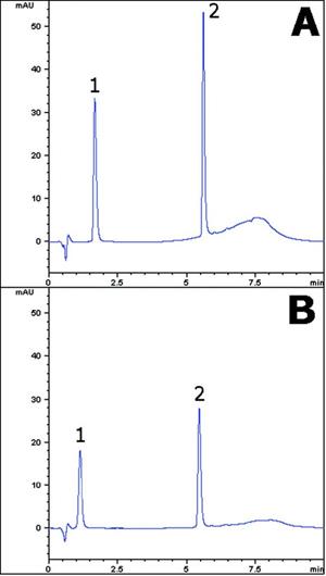 Atorvastatin Chromatogram