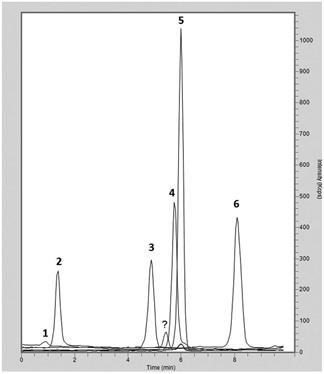 Olive Leaves Chromatogram