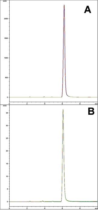 Amoxicillin USP Chromatogram