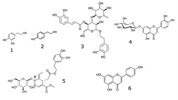 Olive Leaves Chemical Structures